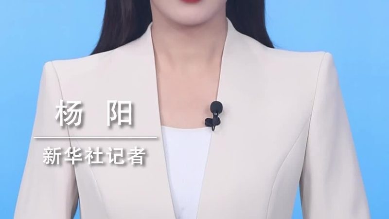数据中台厂商资质，揭秘企业选择的关键要素