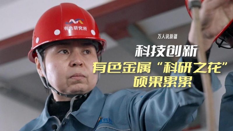 OA协同办公企业版与标准版：差异解析与选型指南